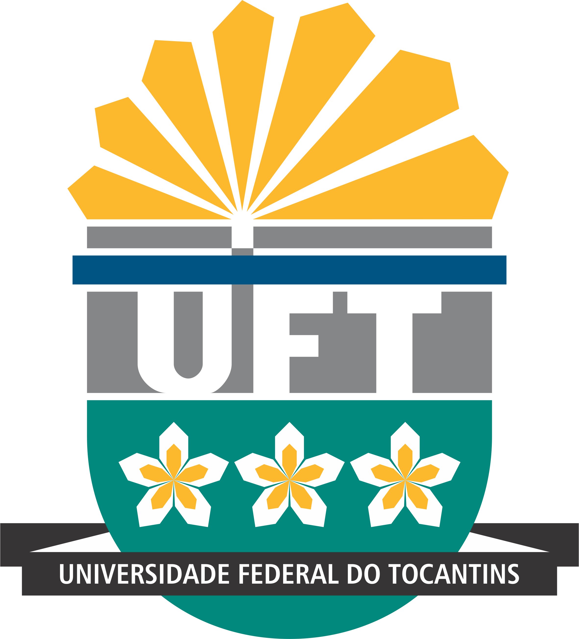 Logo da Fundação Universidade Federal do Tocantins